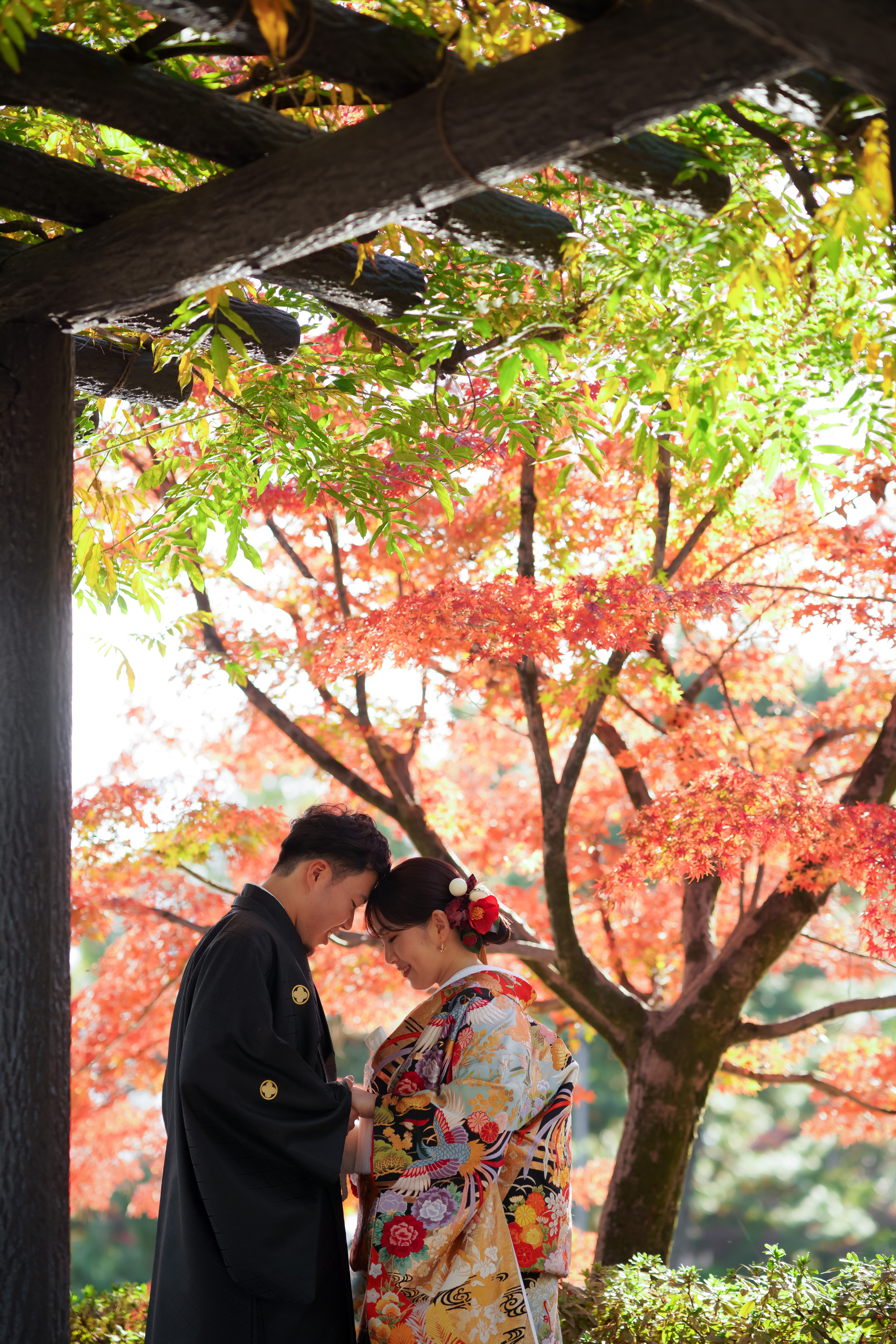 20以上ある撮影シーン