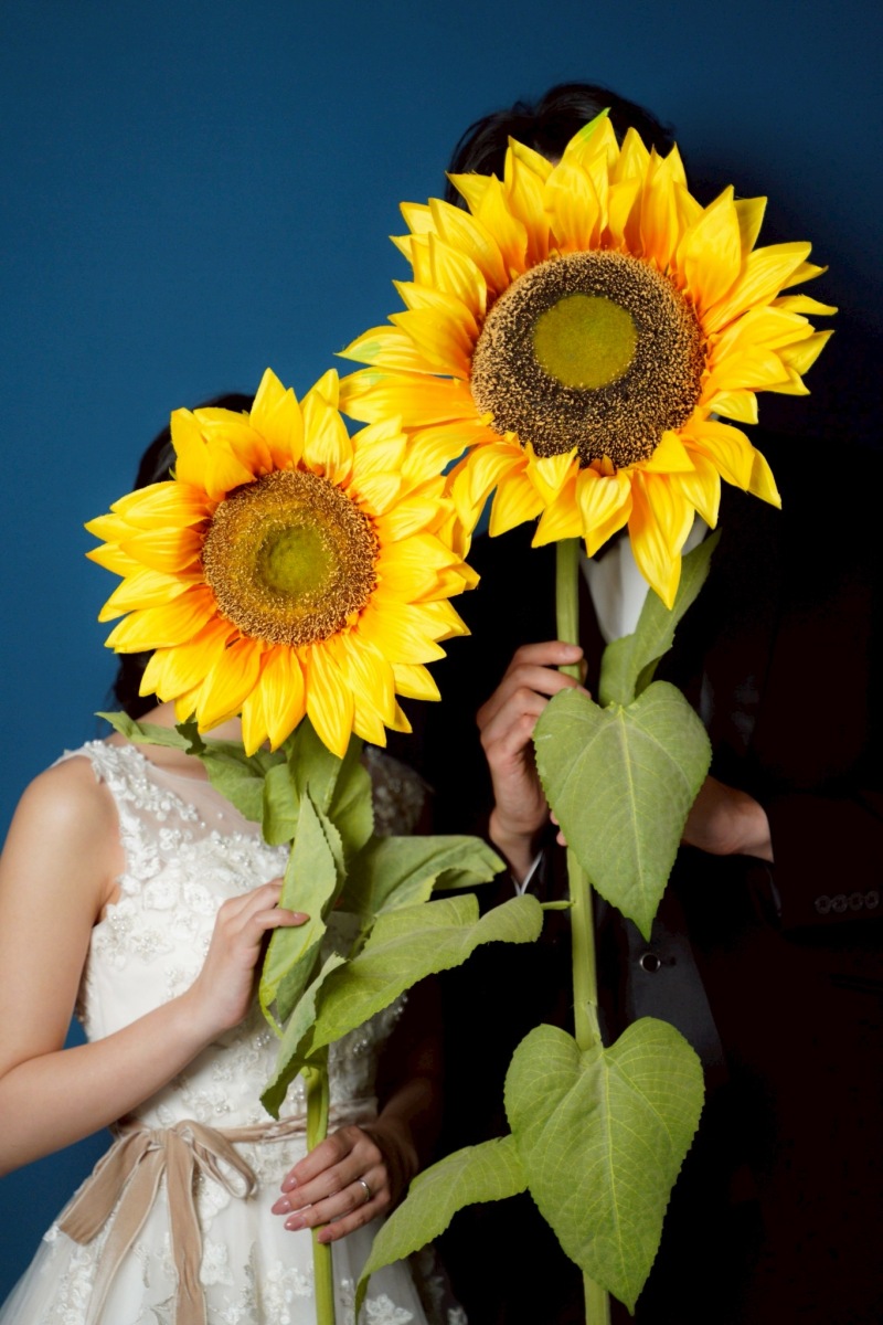 名古屋フォトスタジオcarpe diem（カルペディエム）_格安プランがある(3万円以下)