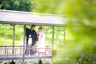 なかなか予約の取れない『白鳥庭園』日程さえ合えばラッキー‼︎ 撮影に必要なもの全部込みの追加料金なし