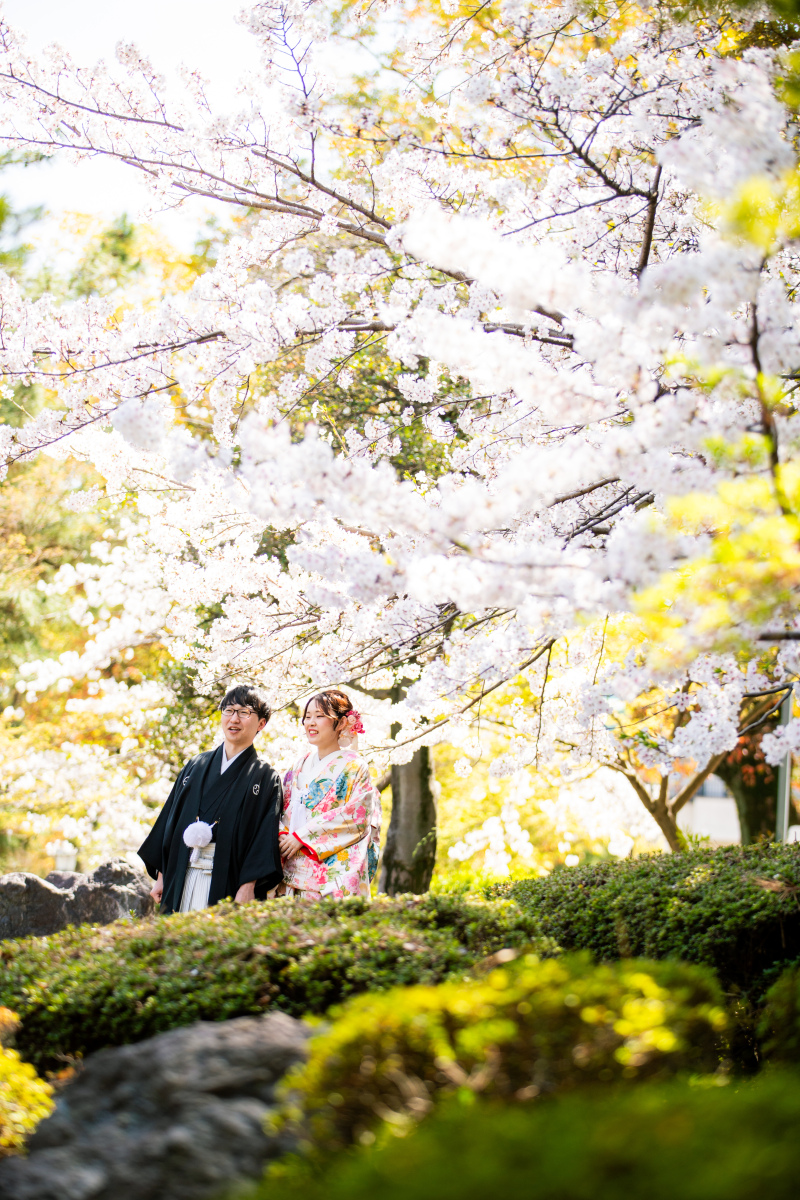 予約受付開始【桜×お茶室】中村公園ロケプラン 白無垢&色打掛の2着・ロケ費・全データ・アルバムなど必要なもの全部込み追加料金なし
