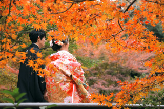 秋の紅葉　和装１着のロケプラン　全データとアルバム付　※安心：追加金なしの最終金額です
