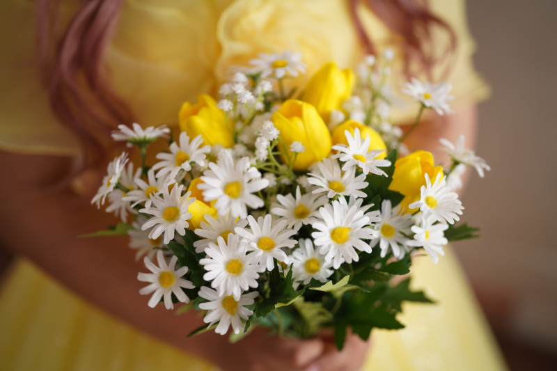 【本格オープニングムービー作るプラン】