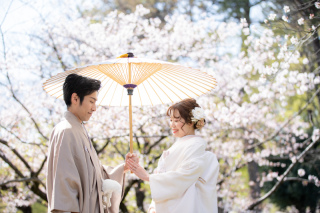 予約受付開始【桜×お茶室】中村公園ロケプラン　白無垢&色打掛の２着・ロケ費・全データ・アルバムなど必要なもの全部込み追加料金なし