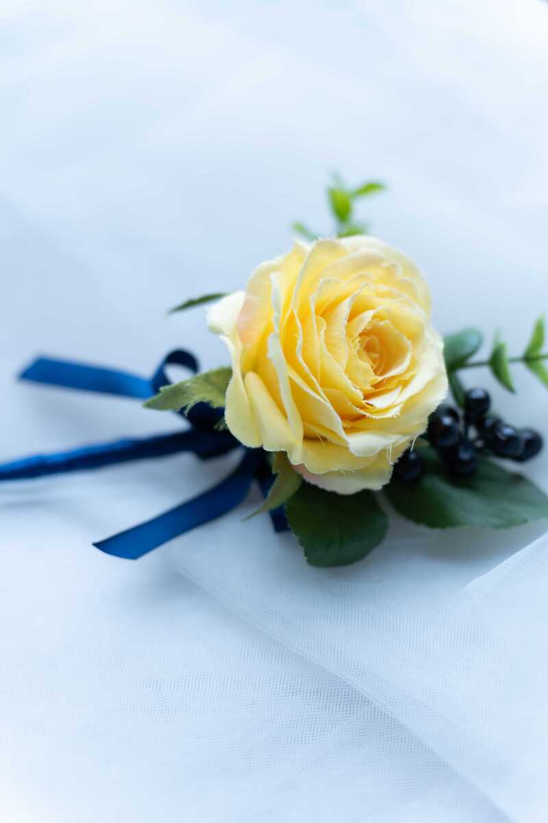 ブートニア（BT010）