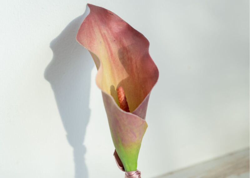 ブートニアBT008