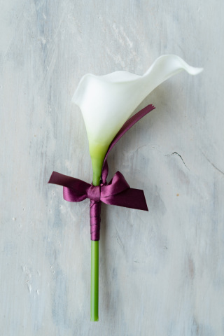 ブートニアBT005