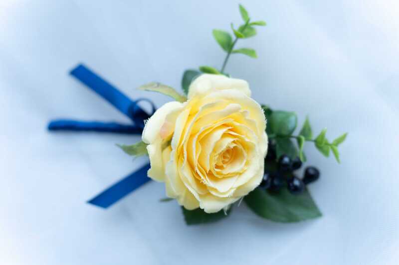 ブートニア（BT010）