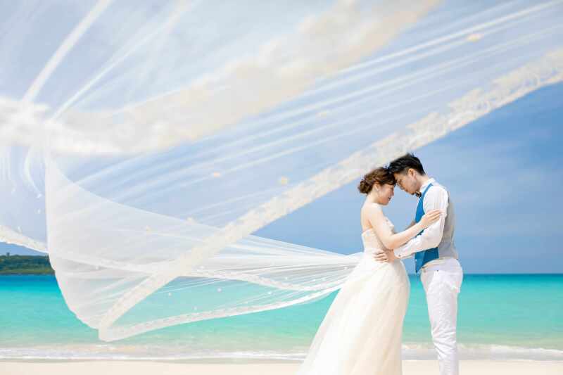 ロングベールも