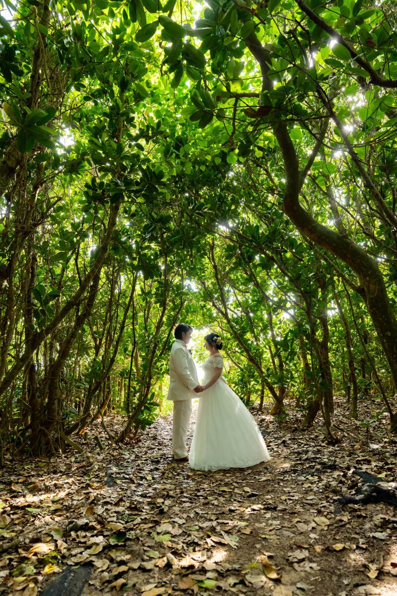 ビーチ撮影のみのプランなのに…？？