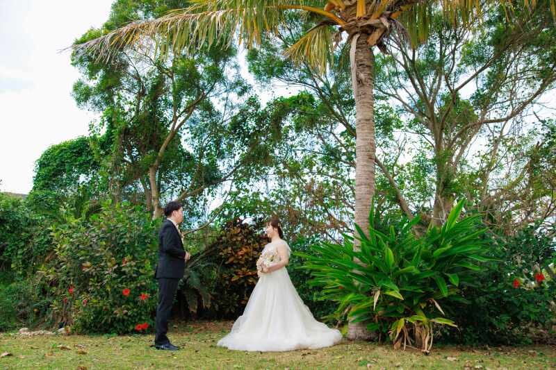 ヤシの木の下で