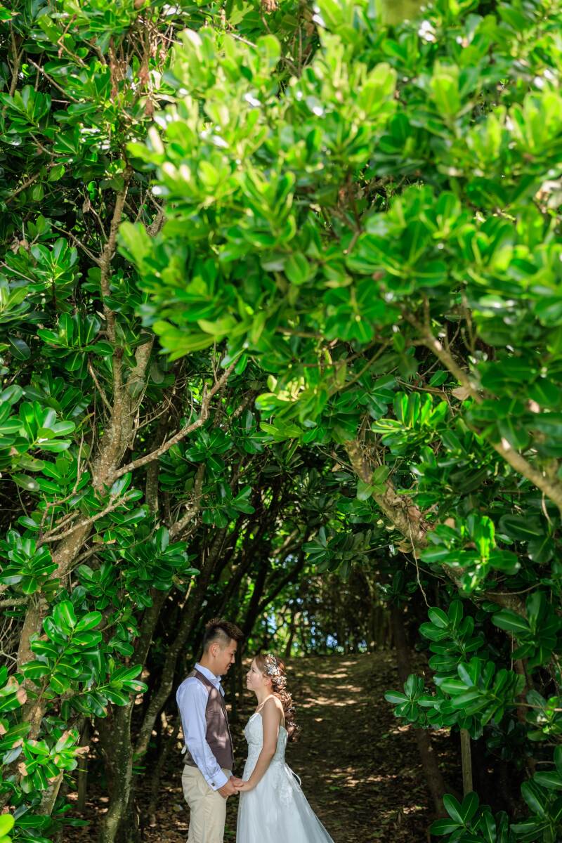 ビーチ脇の木陰で