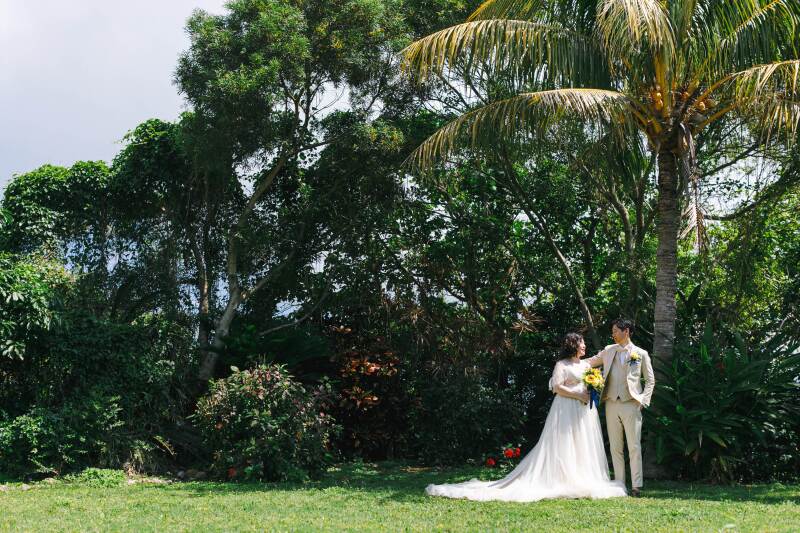 ヤシの木スポットも!