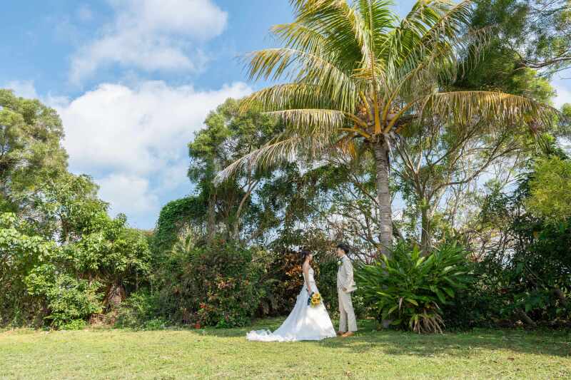 ヤシの木と青い空