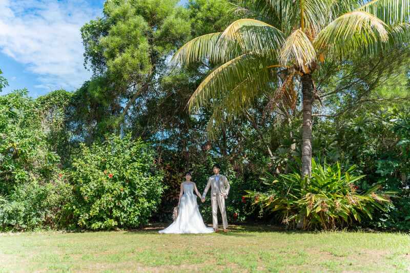 ドレスは&hellip;