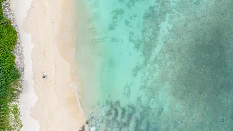 せっかくなら…