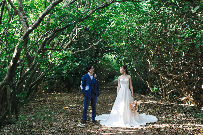 ビーチへ続くグリーンロケーション