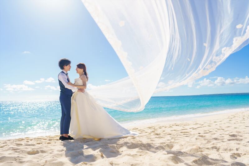 ロングベールショット