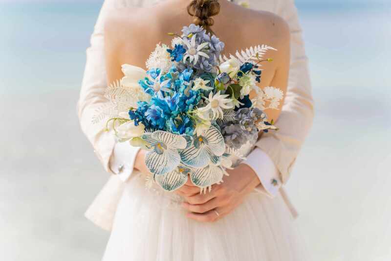 イメージカット