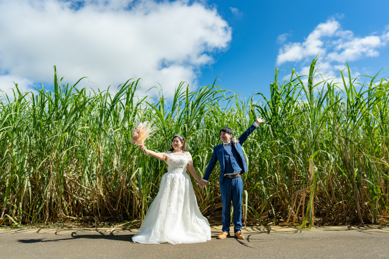 さとうきび畑をバックに!