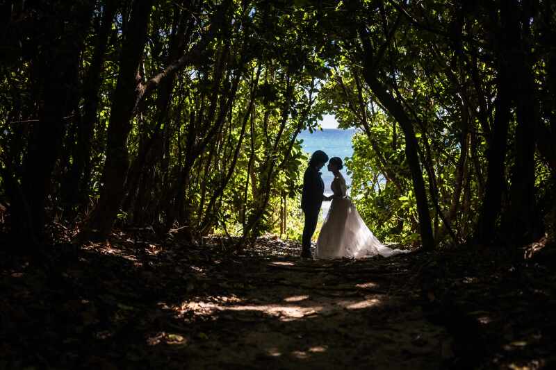 ビーチに向かう森の中