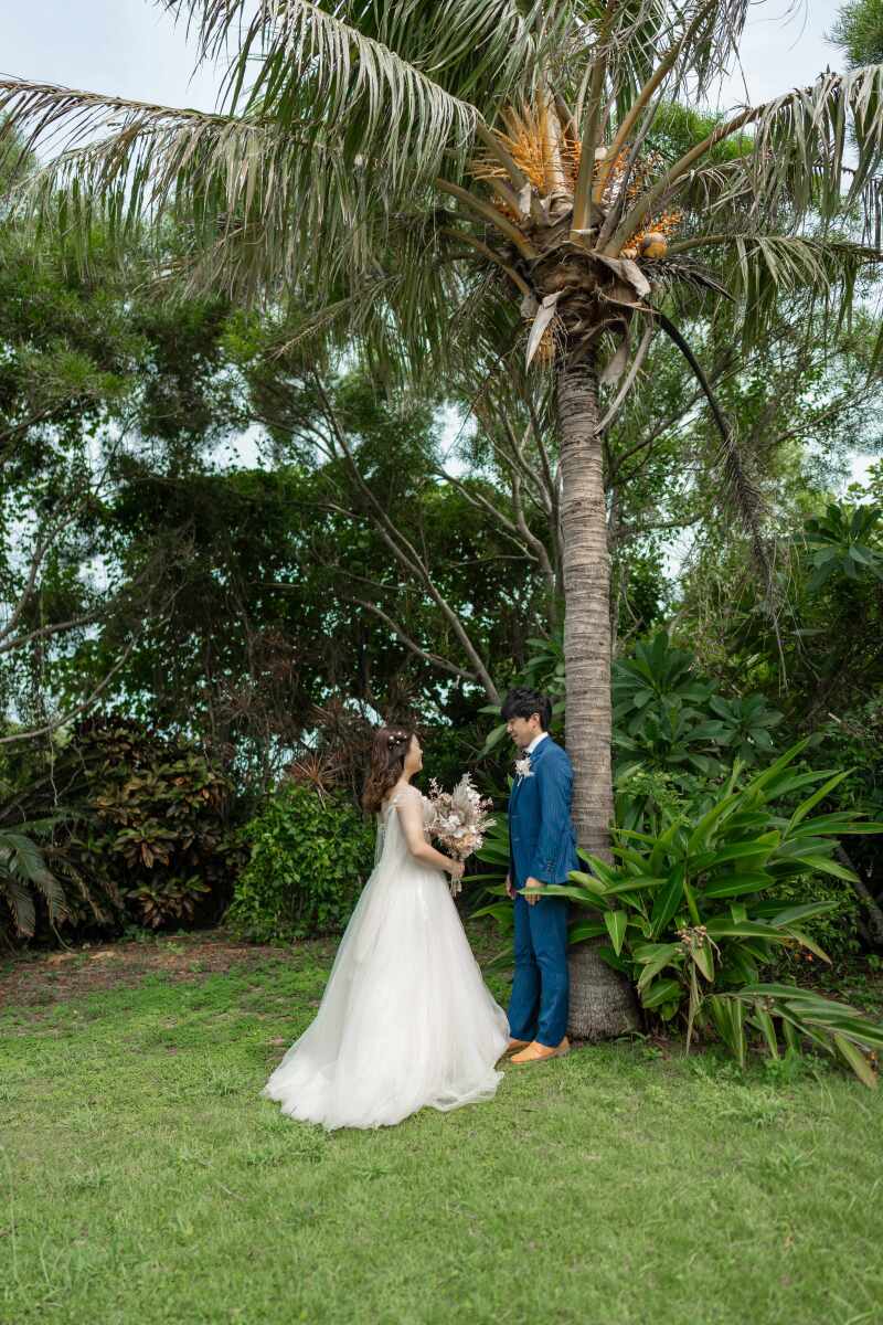 ヤシの木の下で