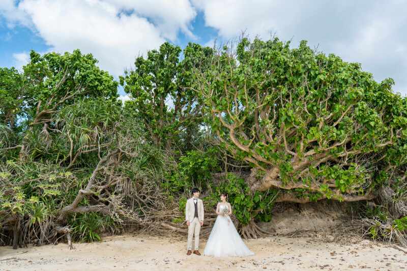 こんなお写真もイイヨ