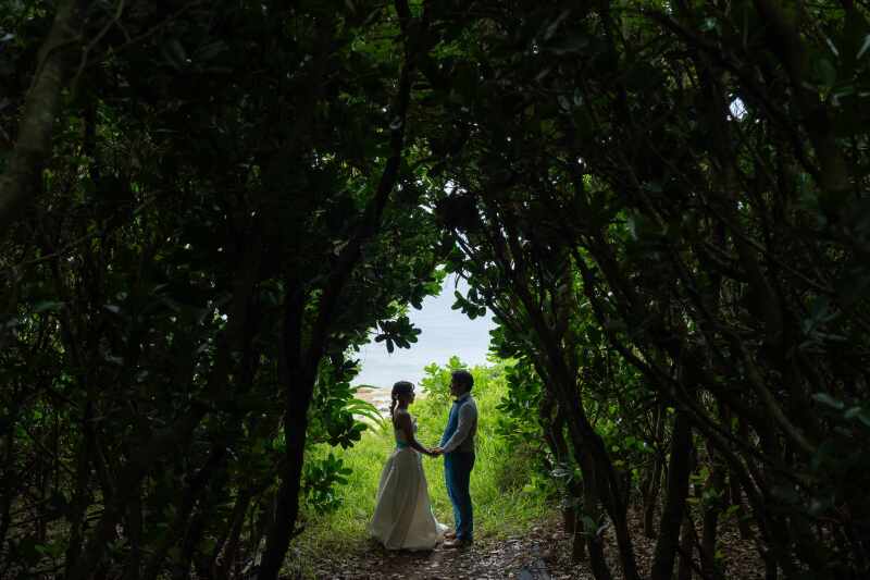 木の天然アーチ