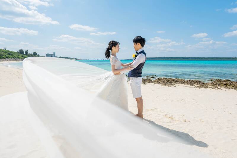 ロングベールショット