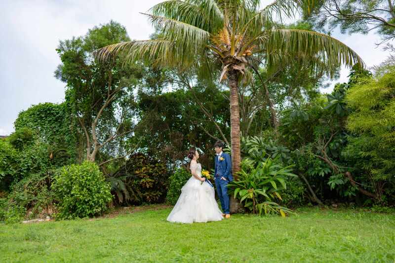 ヤシの木の下で