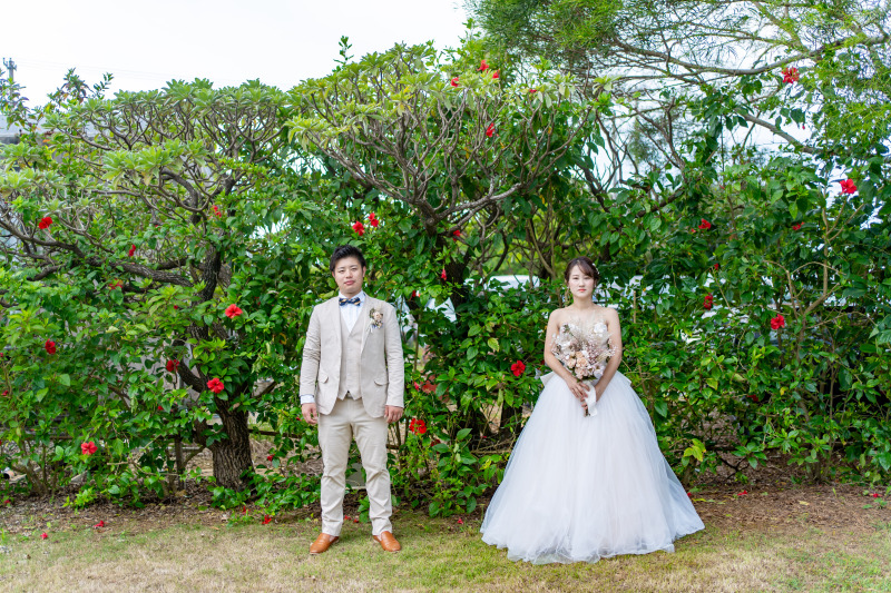 グリーンとハイビスカス