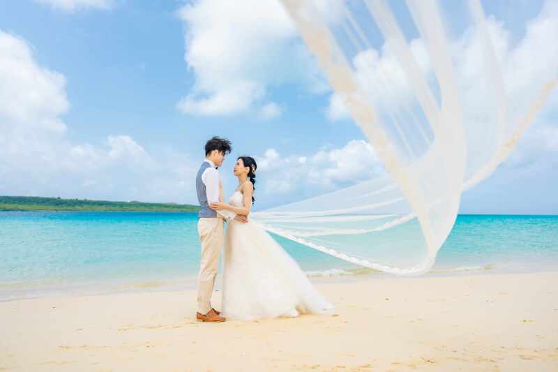 ロングベールショットも