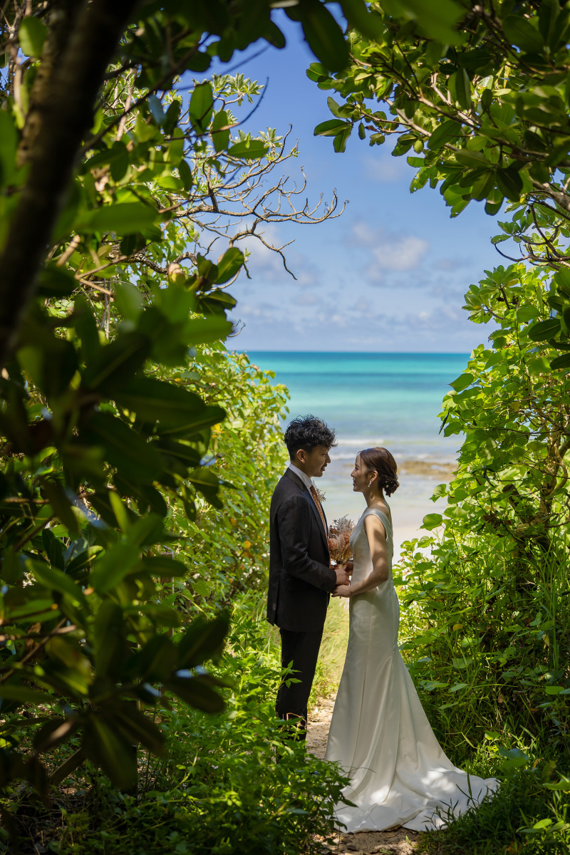 本日はビーチのみプラン!