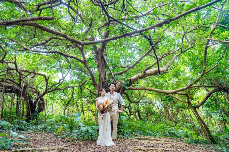 南国の植物に囲まれて