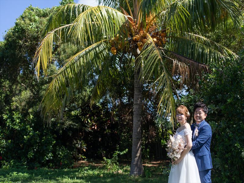 椰子の木の下で