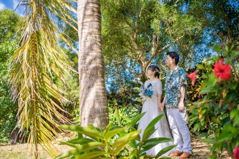 椰子の木の下で