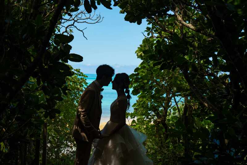 森のシルエット