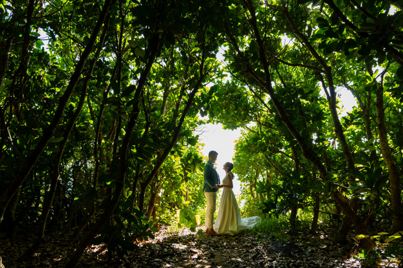 ビーチへ続くグリーントンネル