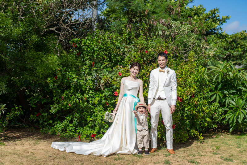 ハイビスカスと