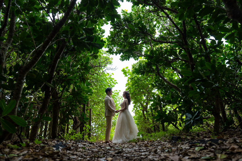 ナチュラルグーリーンにつつまれて