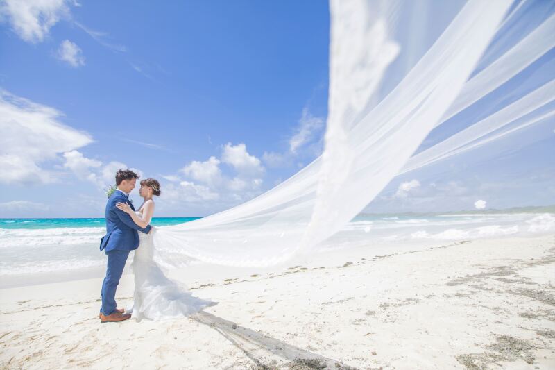 風にそよぐロングベール