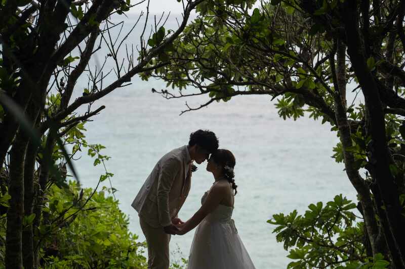 こちらは天然植物のアーチ