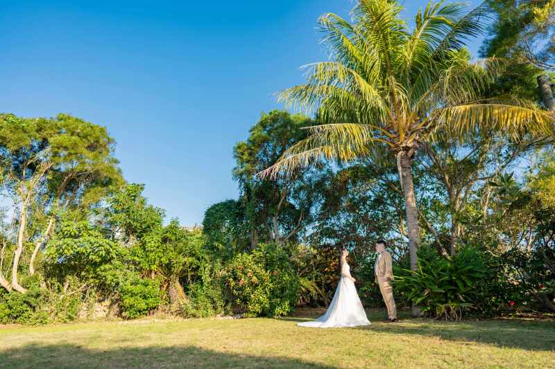 まずはヤシの木の下での撮影です