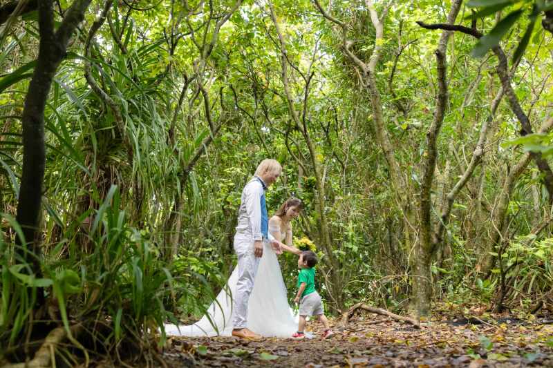 ビーチに続く森