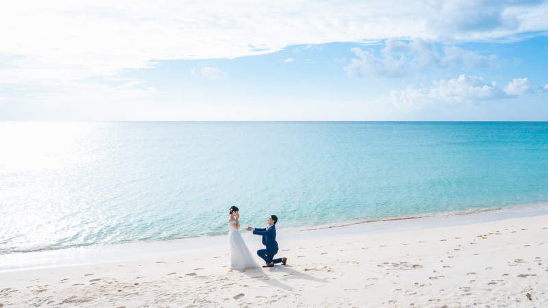 ドローンから！