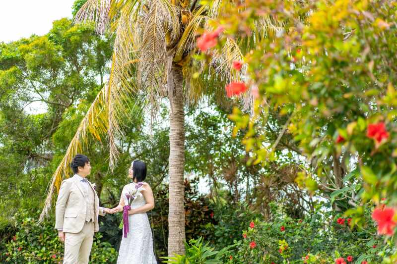 南国の植物に囲まれて