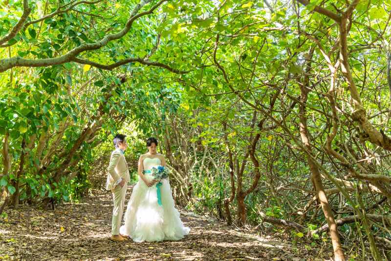 木漏れ日の中で