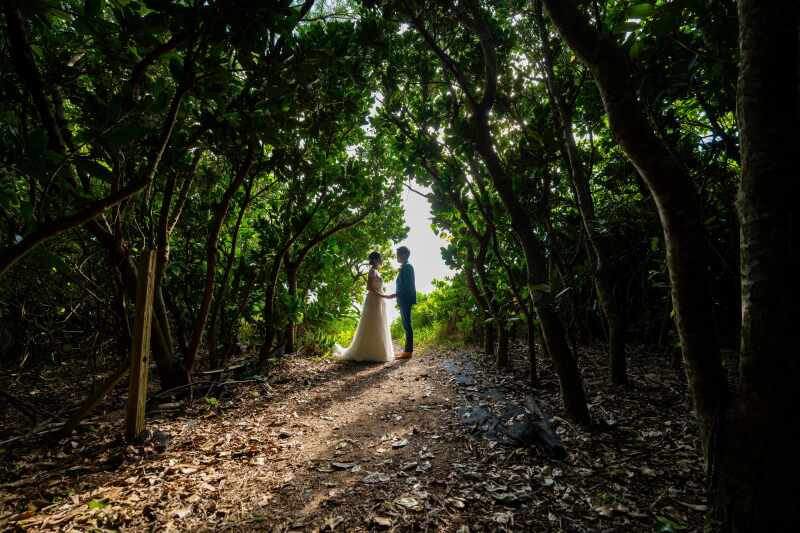 もうすぐビーチですよ