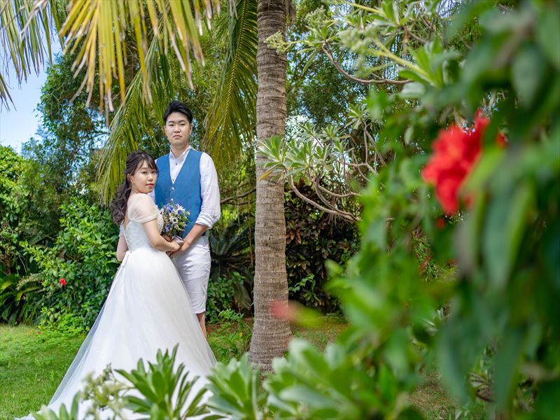 ヤシの木の下で