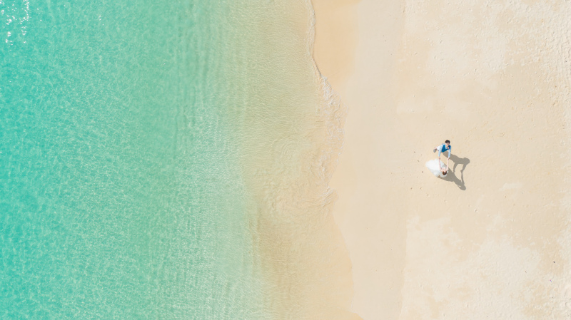 まるで絵画のような