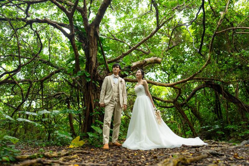 タコ公園で幻想的な雰囲気に包まれました